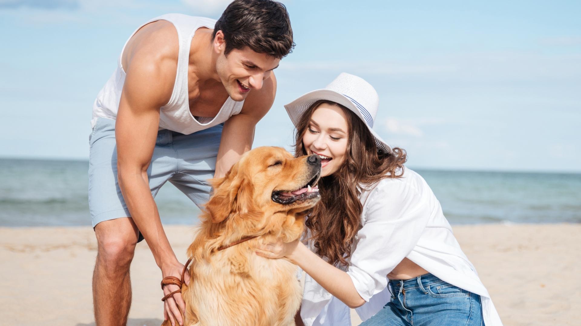 Coppia felice accarezza un cane dorato su una spiaggia, sorrisi e gioia al sole.