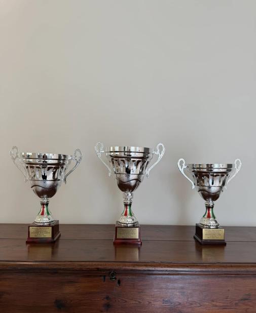 Three gleaming trophies on wood evoke triumph and pride.