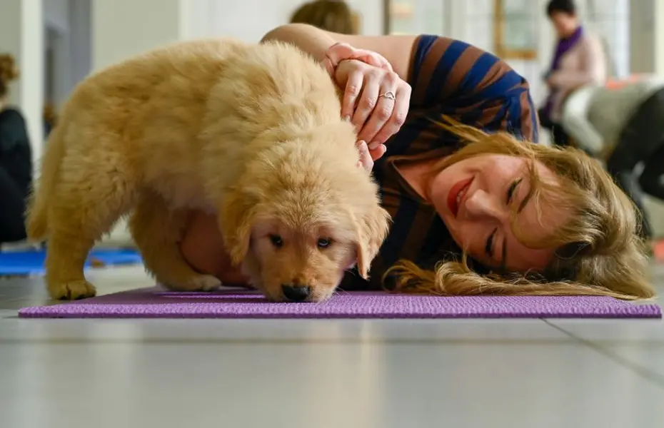 Puppy Yoga all’Hotel Imperiale di Bellaria: Unisci Yoga e Amore per i Cani