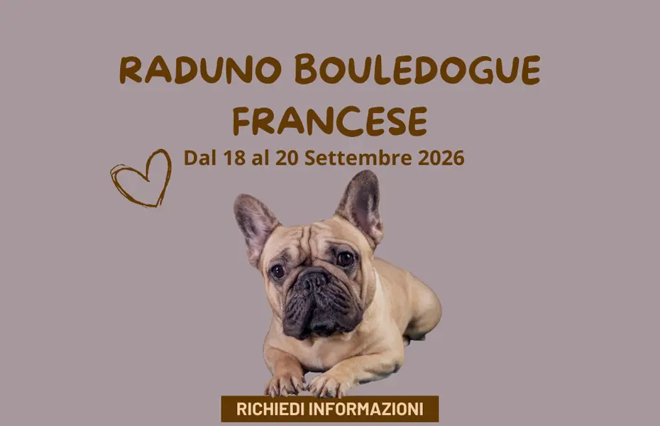 Raduno Bouledogue Francese dal 18 al 20 Settembre 2026 Raduno Bouledogue Francese dal 18 al 20 Settembre 2026