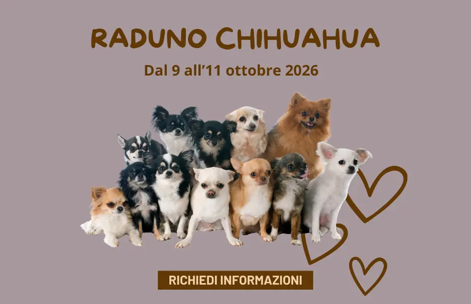 Raduno Chihuahua dal 9 all'11 Ottobre 2026 Raduno Chihuahua dal 9 all'11 Ottobre 2026