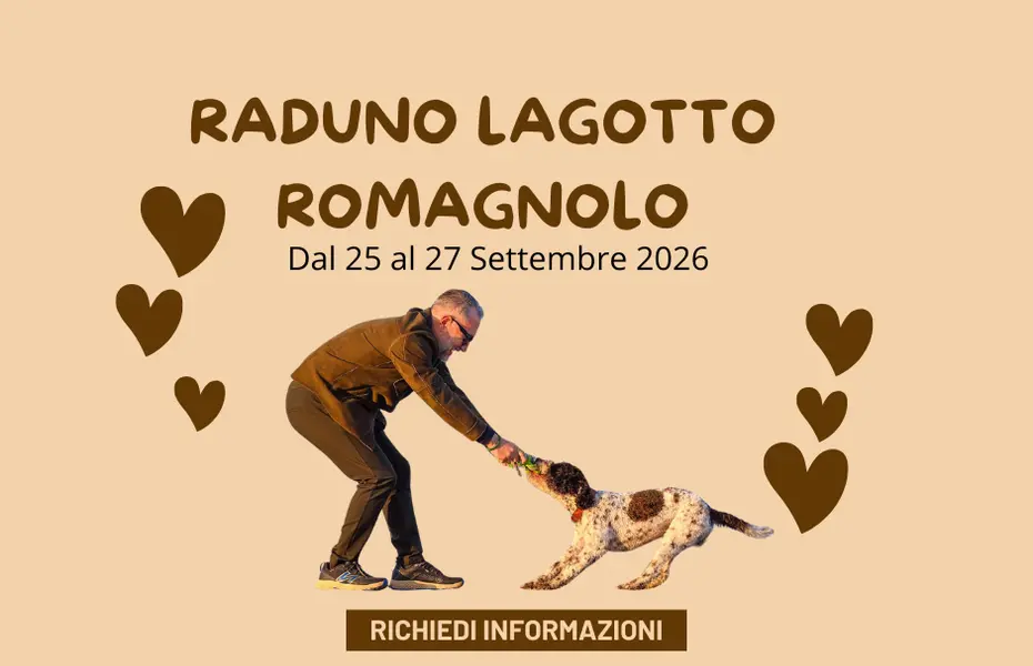 Raduno Lagotto Romagnolo dal 25 Settembre al 27 Settembre 2026 Raduno Lagotto Romagnolo dal 25 Settembre al 27 Settembre 2026