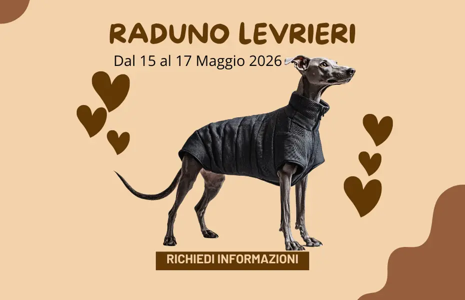 Raduno Levrieri dal 15 al 17 Maggio 2026 Raduno Levrieri dal 15 al 17 Maggio 2026