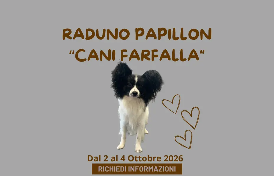 Raduno Papillon et Phalene Mon Amour (Italia) dal 2 Ottobre al 4 Ottobre 2026 Raduno Papillon et Phalene Mon Amour (Italia) dal 2 Ottobre al 4 Ottobre 2026