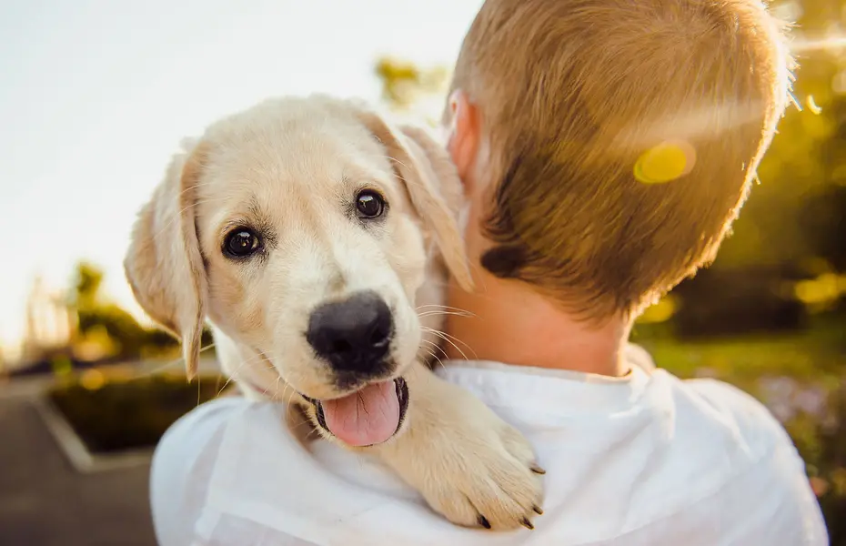 PasquettanDOG: la pasqua esperienziale per chi ama il suo cane